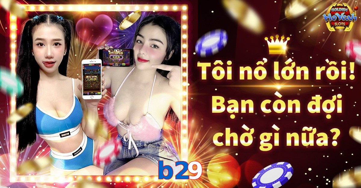 b29